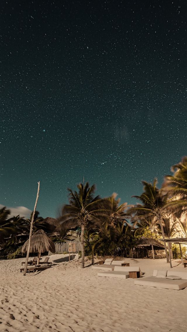 1284x2778 seashore and palm trees under starry sky - mexico iPhone Wallpaper