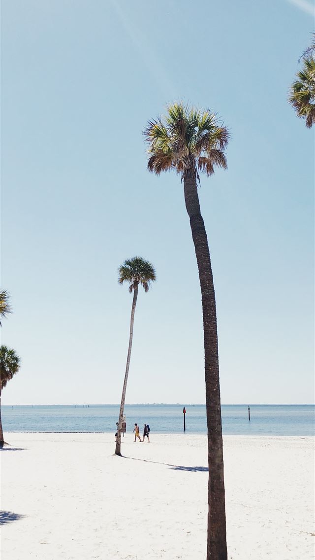 1284x2778 people at the shore near trees during day -  iphone 13 Wallpaper