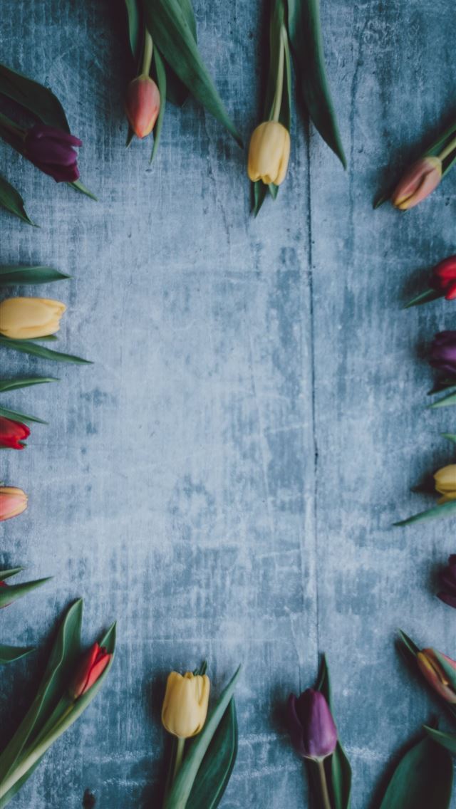 1284x2778 assorted color flowers on surface - spring iPhone Wallpaper