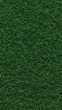 green grass field during daytime wallpaper