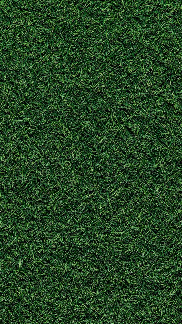 1284x2778 green grass field during daytime - salt lake city iPhone Wallpaper