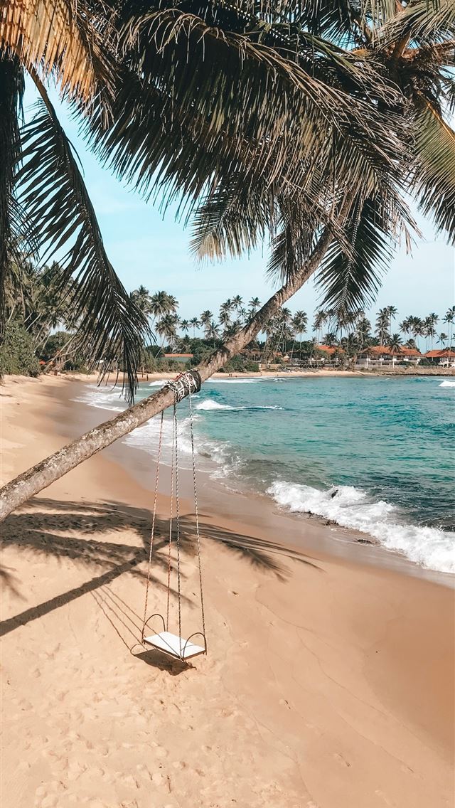 1284x2778 white swing on green palm trees - summer iPhone Wallpaper