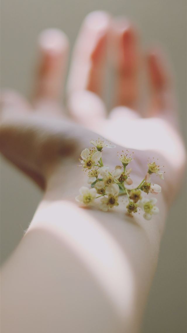 1284x2778 selective focus photography of white clustered flo... -  iphone 13 Wallpaper