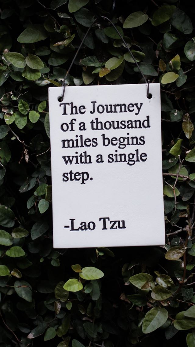 1284x2778 white and black quote board on green plants - los angeles iPhone Wallpaper