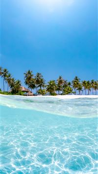 crystal clear water near coconut trees under the s... wallpaper