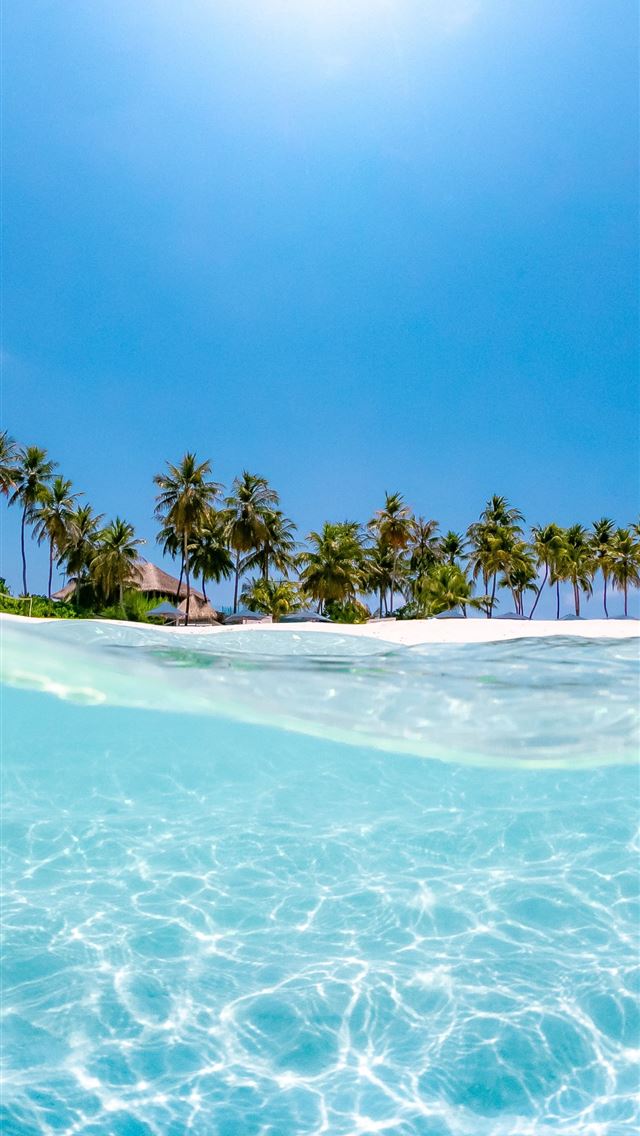 1284x2778 crystal clear water near coconut trees under the s... -  iphone 13 Wallpaper