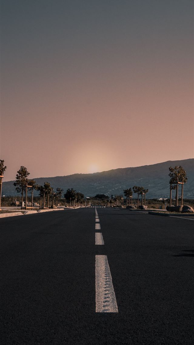 1284x2778 highway between trees during golden hour - retro iPhone Wallpaper