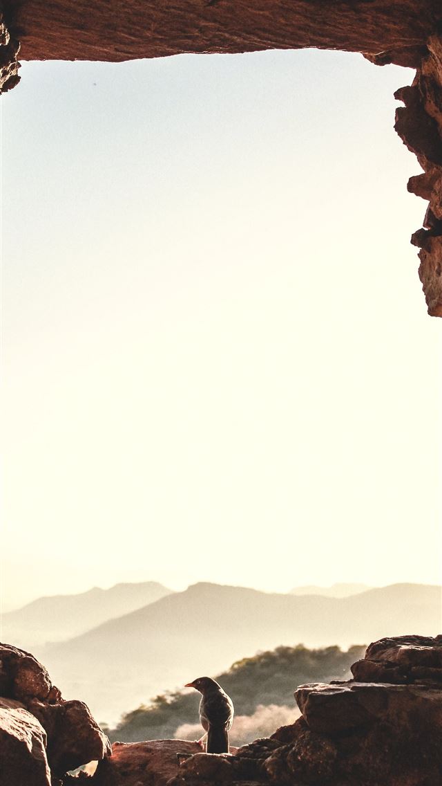1284x2778 brown rock formation near body of water during day... - stone iPhone Wallpaper