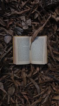 Row Of Old Books With Colorful Covers On Pastel Blue Background Education  Concept Mock Up For Different Ideas Empty Place For Text Quote Or Sayings  Stock Photo  Download Image Now  iStock