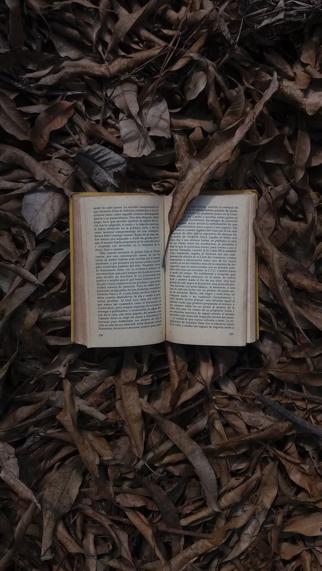 1284x2778 book open on dried leaves top view photography -  iphone 13 Wallpaper