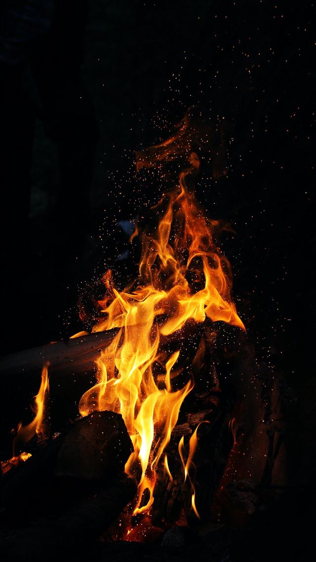 1284x2778 bonfire - fire iPhone Wallpaper