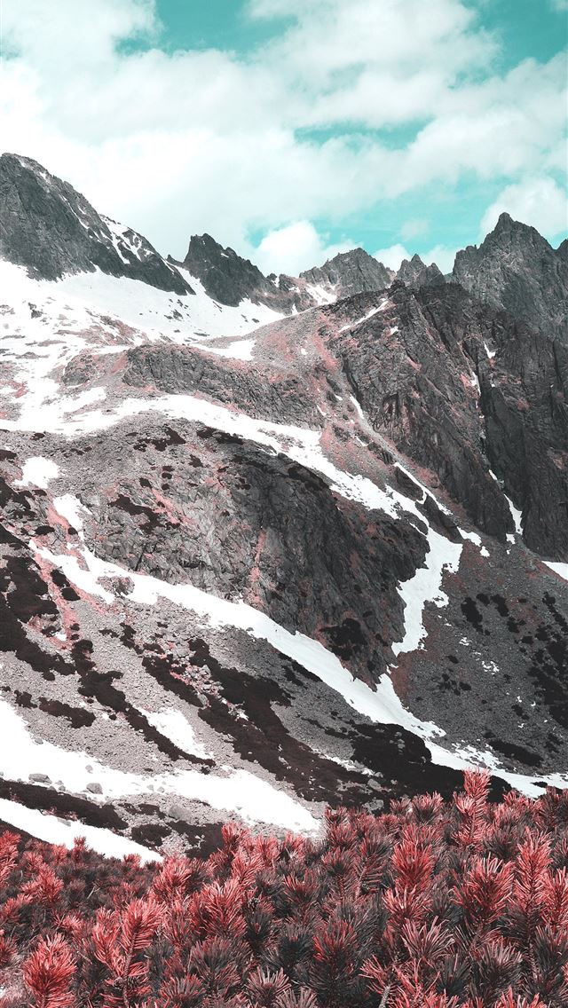 1284x2778 red flower field autumn in mountains 4k -  iphone 13 Wallpaper