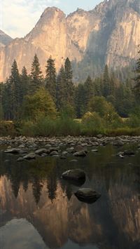 landscape photography of trees near mountain wallpaper