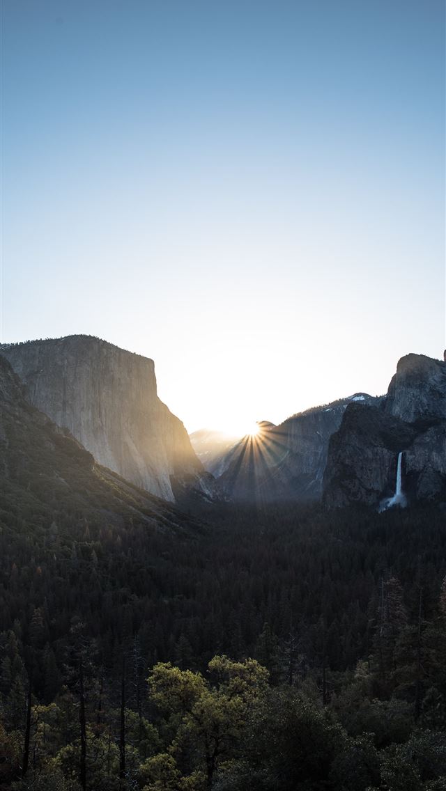 1284x2778 green forest during sunrise - sunshine iPhone Wallpaper