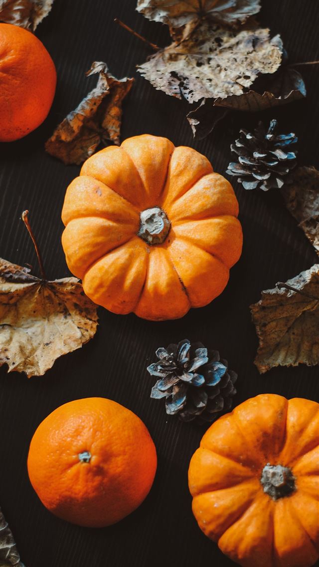 1284x2778 orange pumpkins on black surface - halloween iPhone Wallpaper