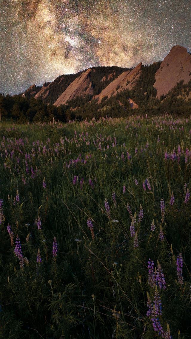 1284x2778 green grass field near mountain under starry night - spring iPhone Wallpaper