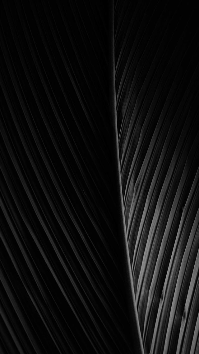 1284x2778 black and white striped textile - pattern iPhone Wallpaper