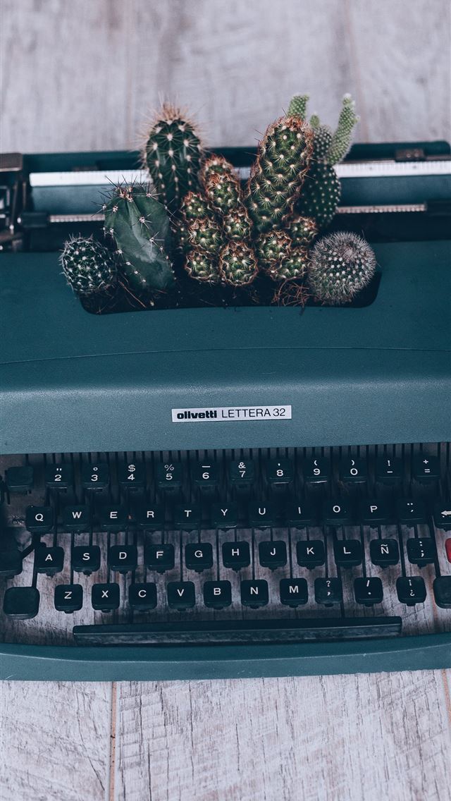 1284x2778 black and green Olympia typewriter and green cactu... - netherlands iPhone Wallpaper