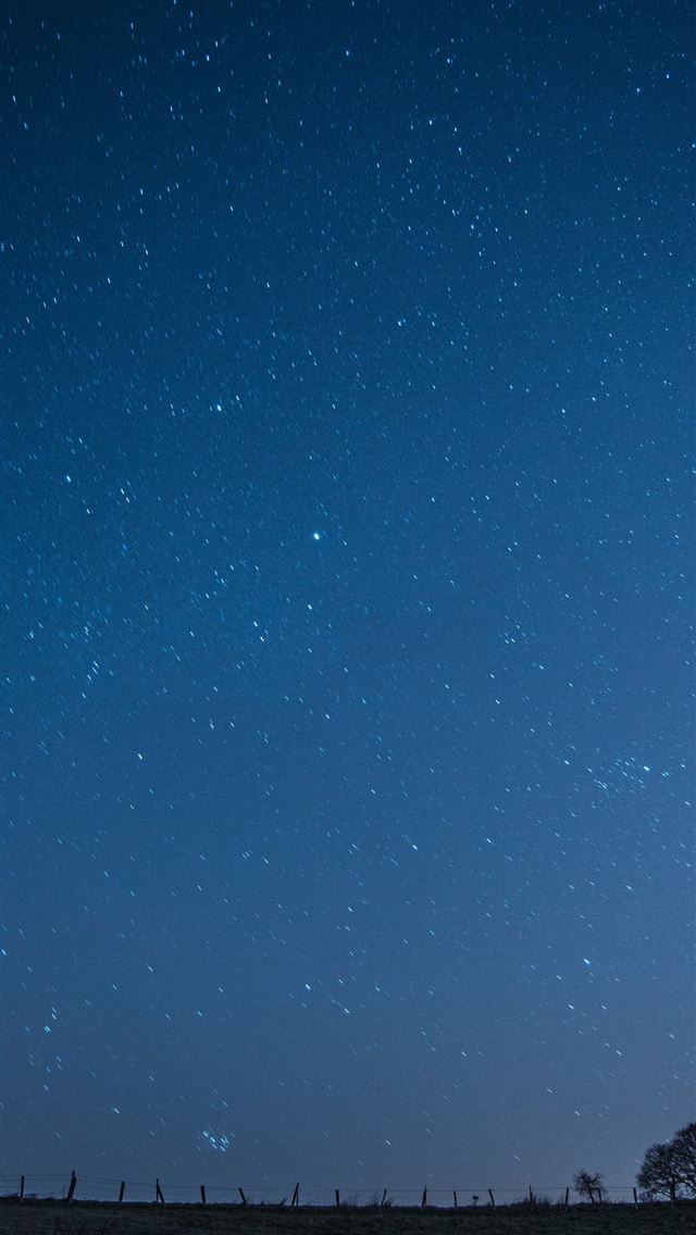 1284x2778 tree under blue sky - france iPhone Wallpaper