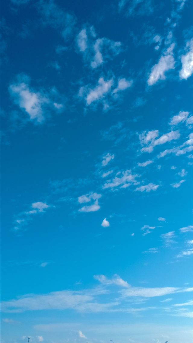 640x1136 white and blue cloudy sky over the pier -  iPhone Wallpaper