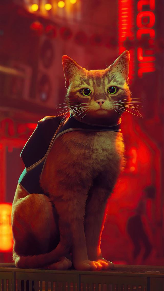 1290x2796 stray - games iPhone Wallpaper