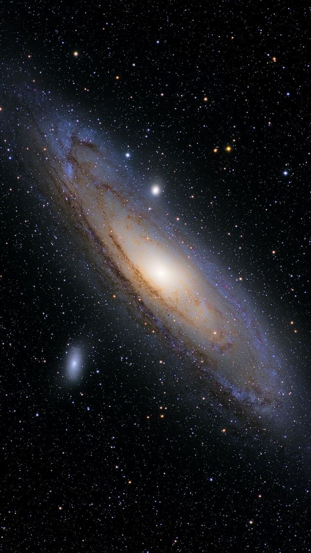 1290x2796 stars in the sky during night time -  iphone 14 Wallpaper