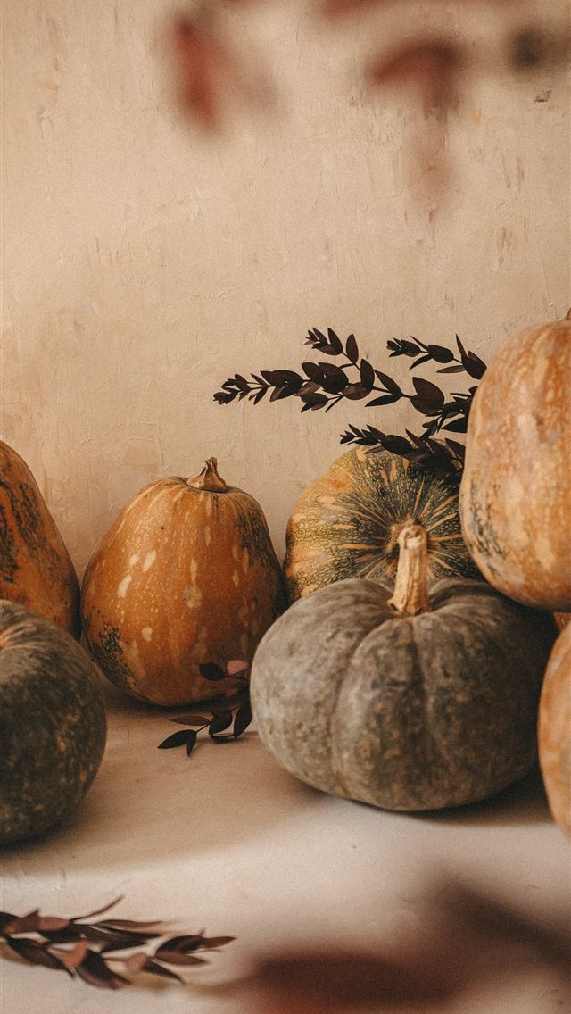 1290x2796 orange and green pumpkin on white table - halloween iPhone Wallpaper