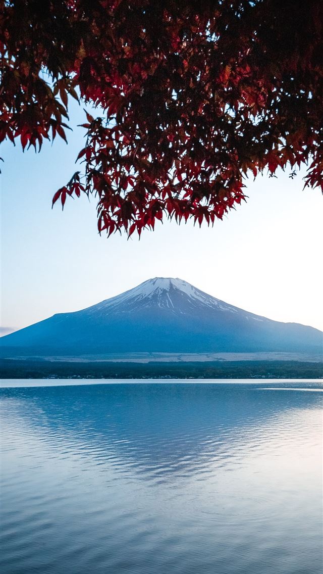 1290x2796 mountain near sea - mount fuji iPhone Wallpaper