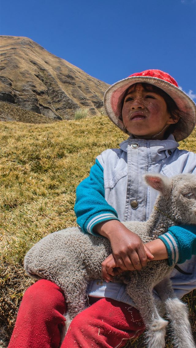 1290x2796 white sheep on boy's lap sitting on hill -  iphone 14 Wallpaper