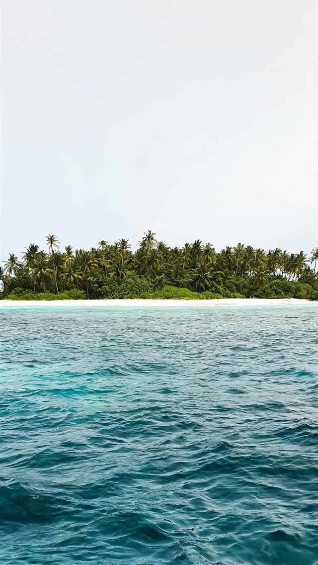 1290x2796 green trees on island surrounded by water during d... - water iPhone Wallpaper