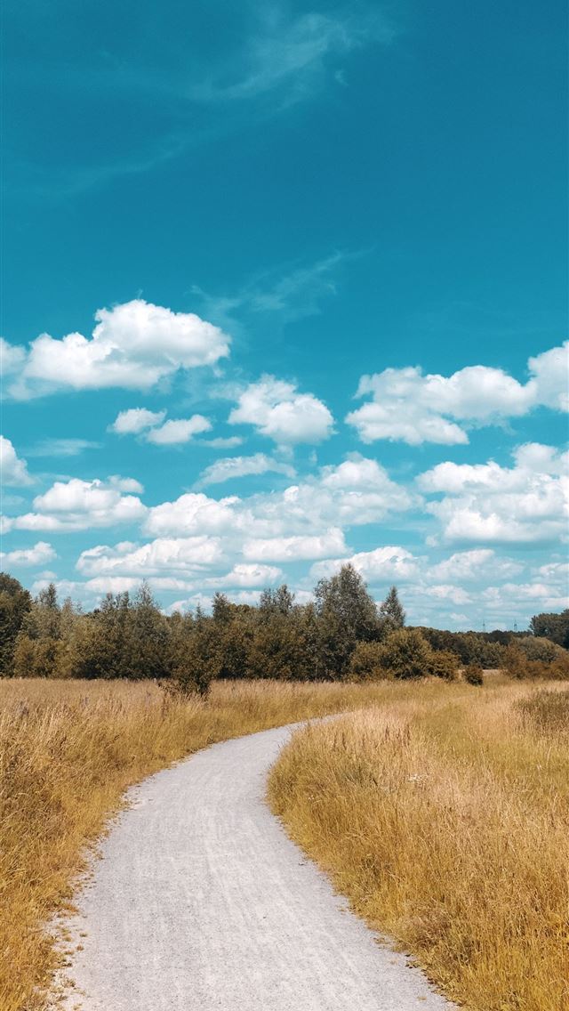 1290x2796 empty pathway through forest during cloudy day - cloud iPhone Wallpaper