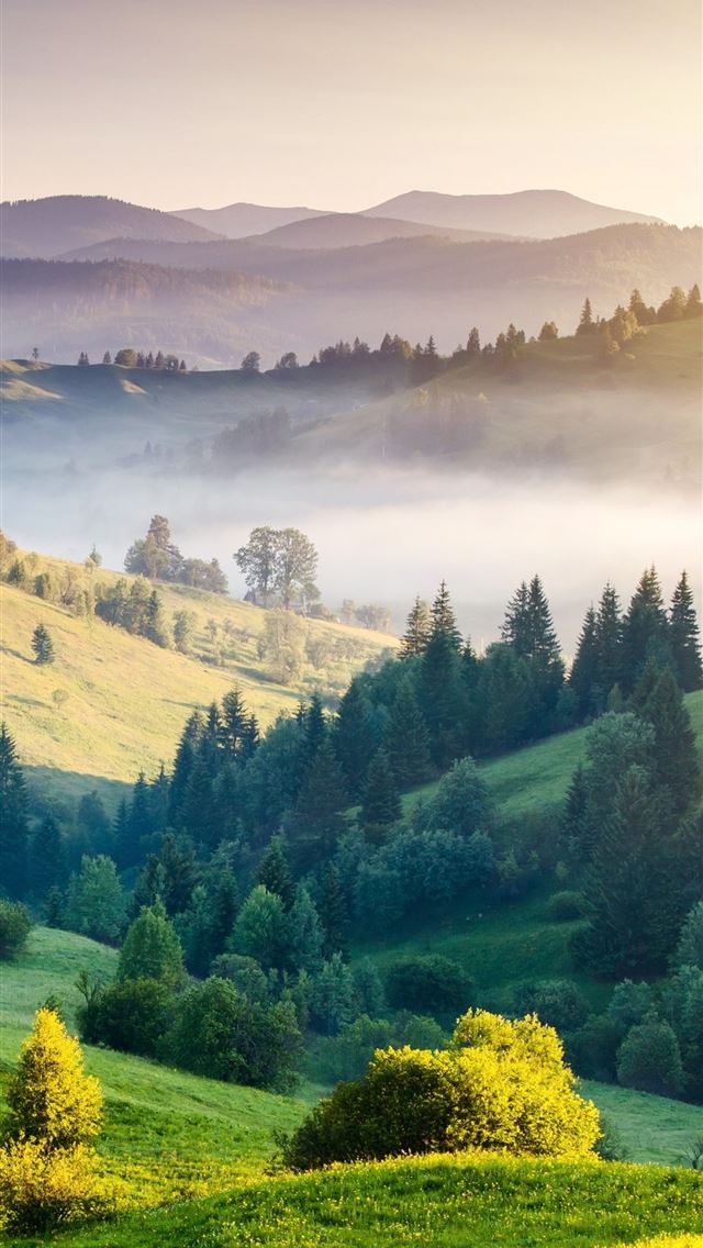1290x2796 nature hills trees landscape horizon -  iphone 14 Wallpaper