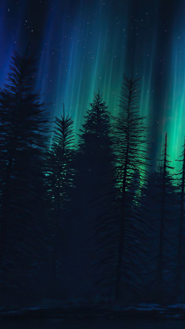 640x1136 aurora fall 4k -  iPhone Wallpaper