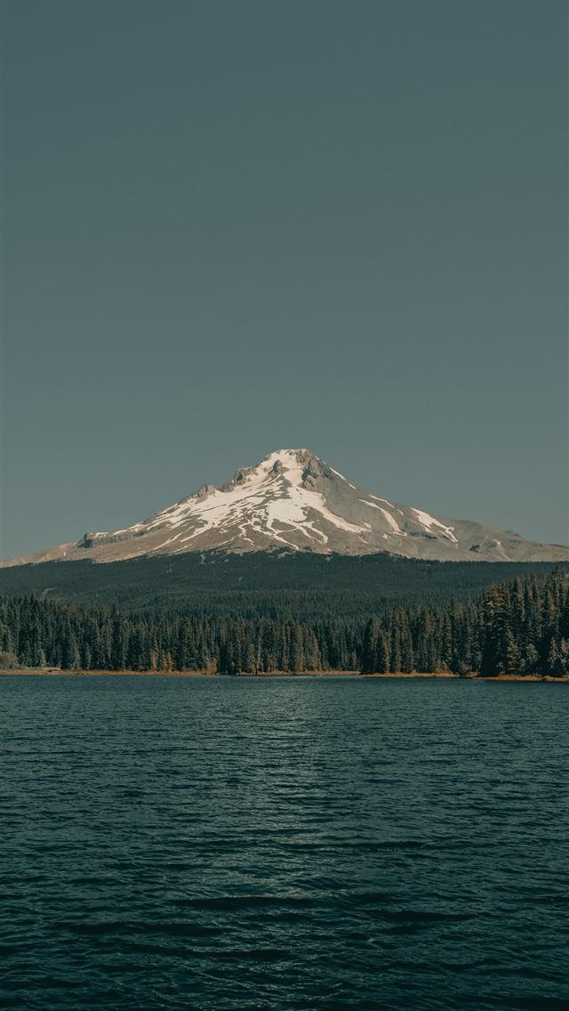 1290x2796 Chillium at Trillium IG clay banks  - pure iPhone Wallpaper