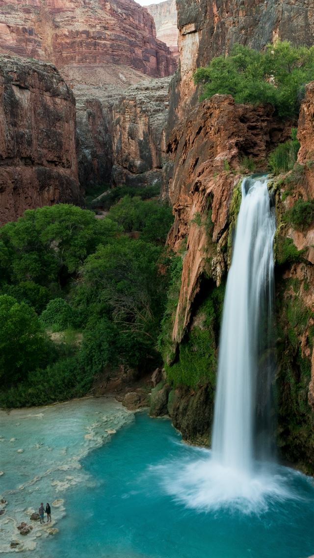 1290x2796 waterfalls near green trees - waterfall iPhone Wallpaper