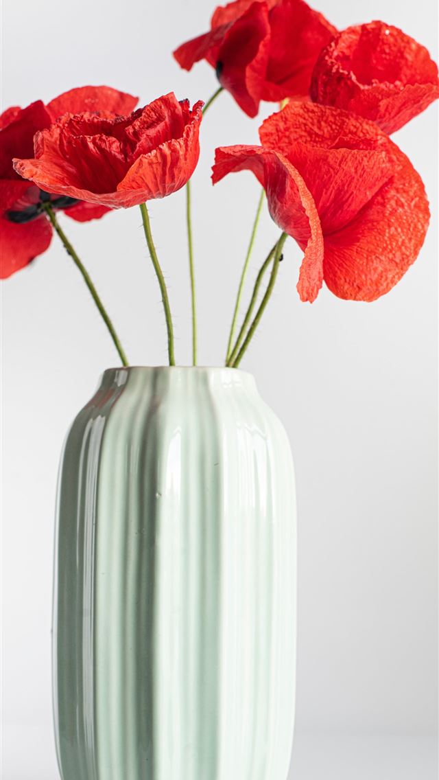 1290x2796 Poppy flower -  iphone 14 Wallpaper