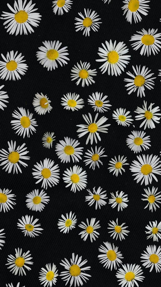 1290x2796 black and white floral textile - pattern iPhone Wallpaper