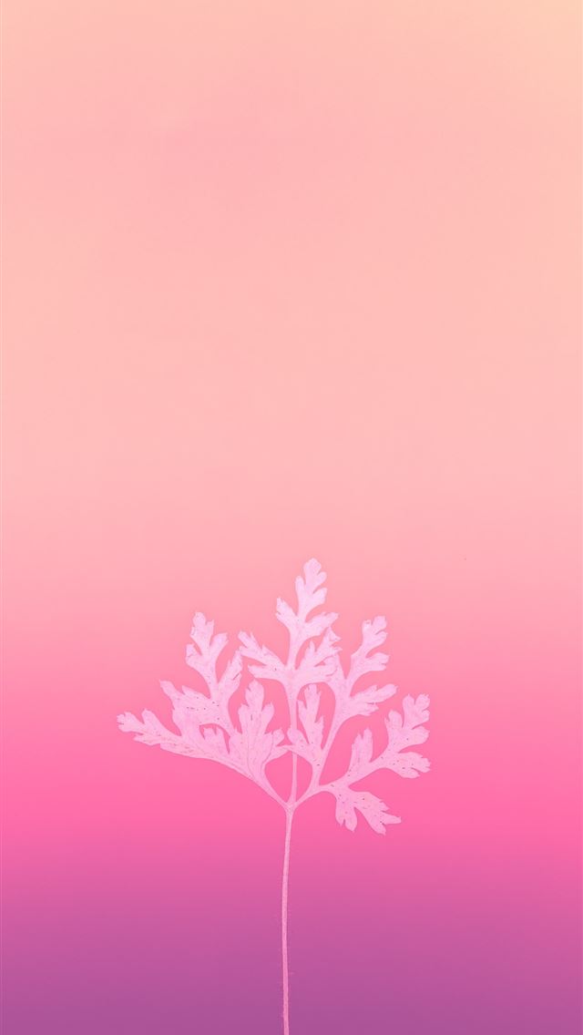 1290x2796 black tree under purple sky - pink iPhone Wallpaper