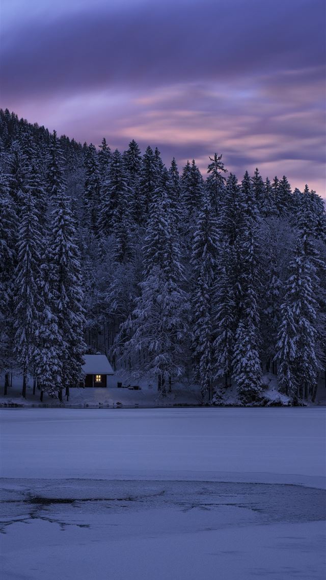 1290x2796 trees under gray sky - italy iPhone Wallpaper