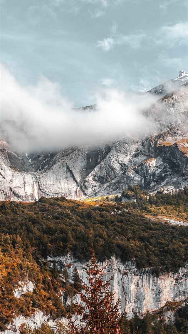 1290x2796 mountain range and forest 5k -  iPhone Wallpaper