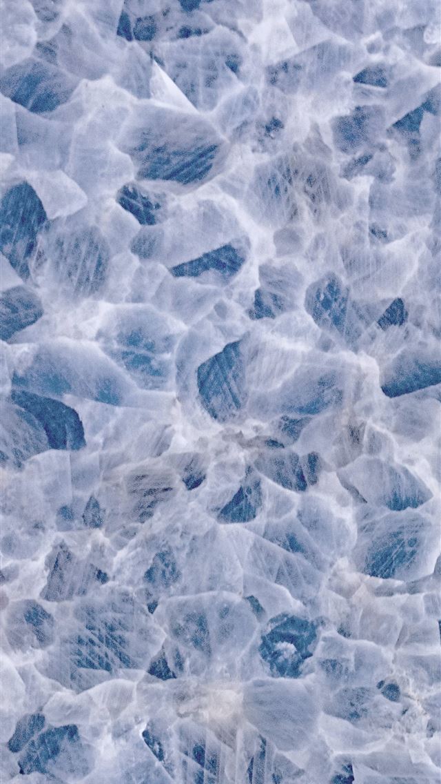 1290x2796 spider web lot -  iphone 14 Wallpaper