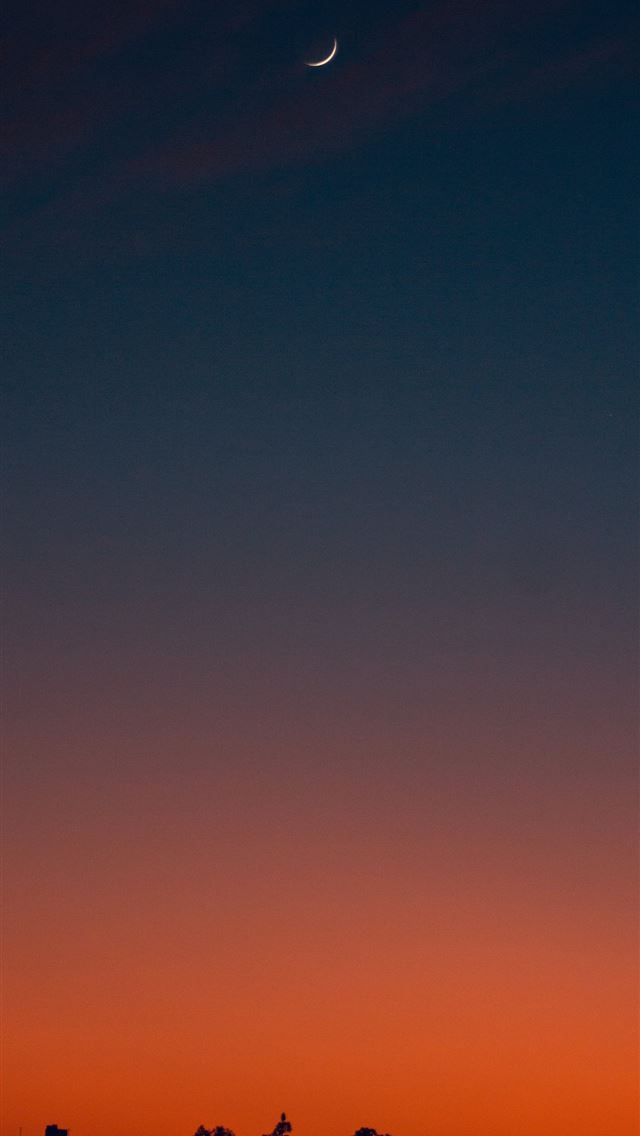 1290x2796 Silhouette Of Trees During Sunset -  iPhone Wallpaper