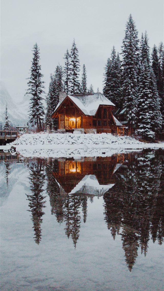 1290x2796 house in between trees and dock under gray sky - winter iPhone Wallpaper