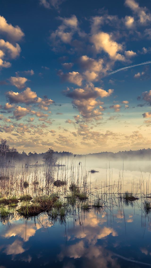 1290x2796 blue morning water body 4k -  iphone 14 Wallpaper
