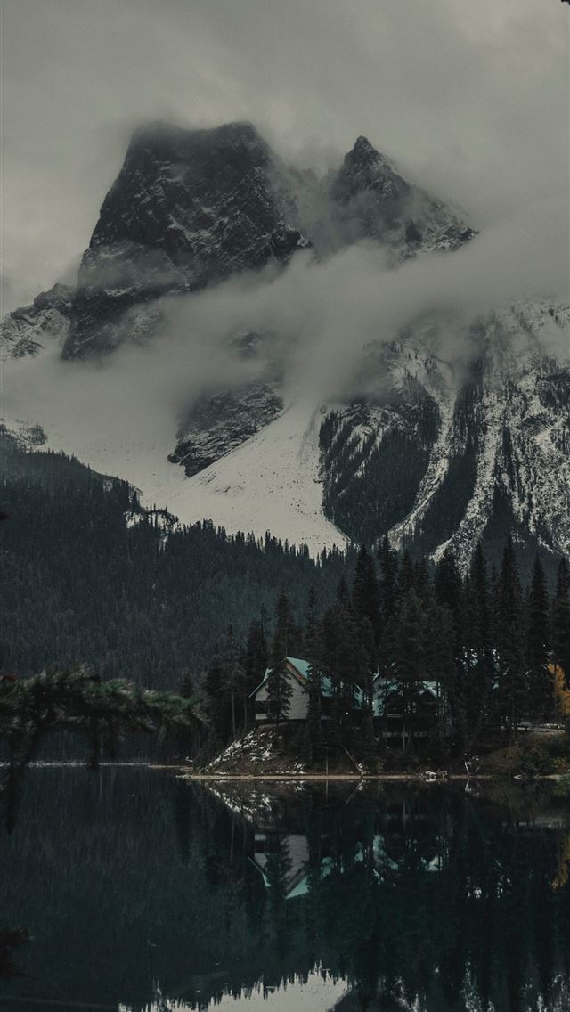 1290x2796 pine trees beside snow covered mountain -  iPhone Wallpaper