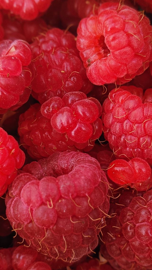 1290x2796 macro photography of raspberry fruits - red iPhone Wallpaper