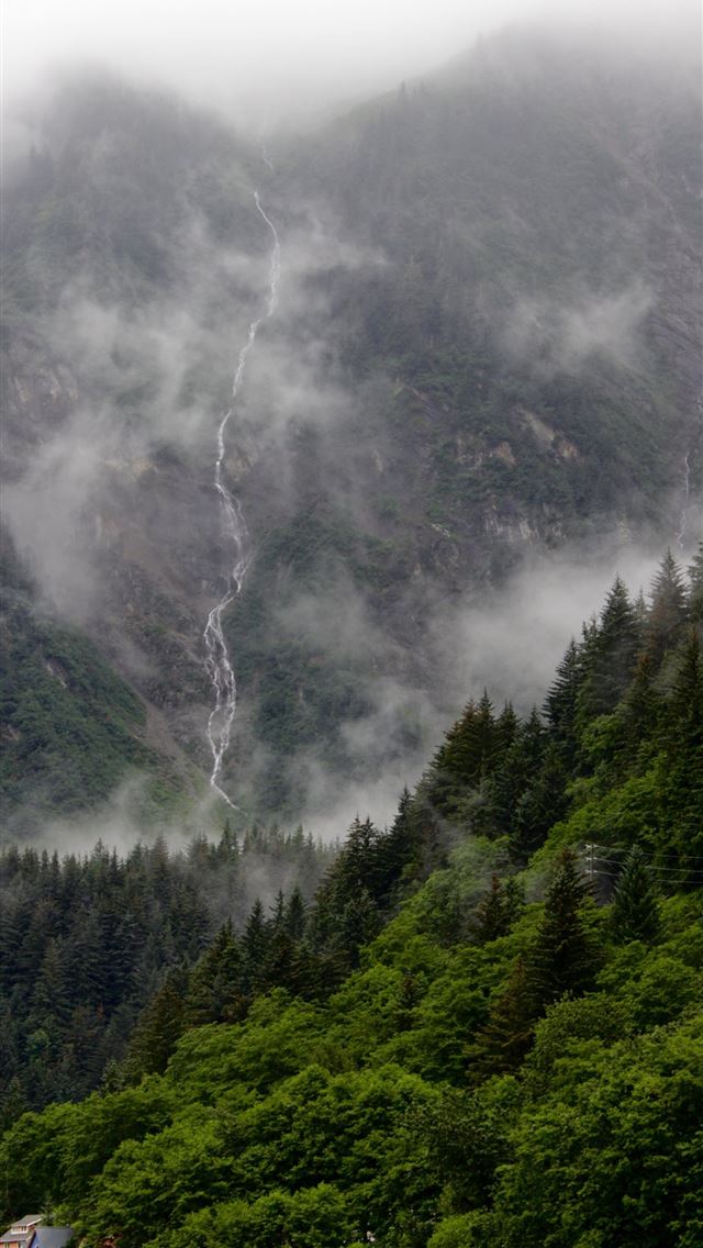 1290x2796 green leafed forest - mountain iPhone Wallpaper