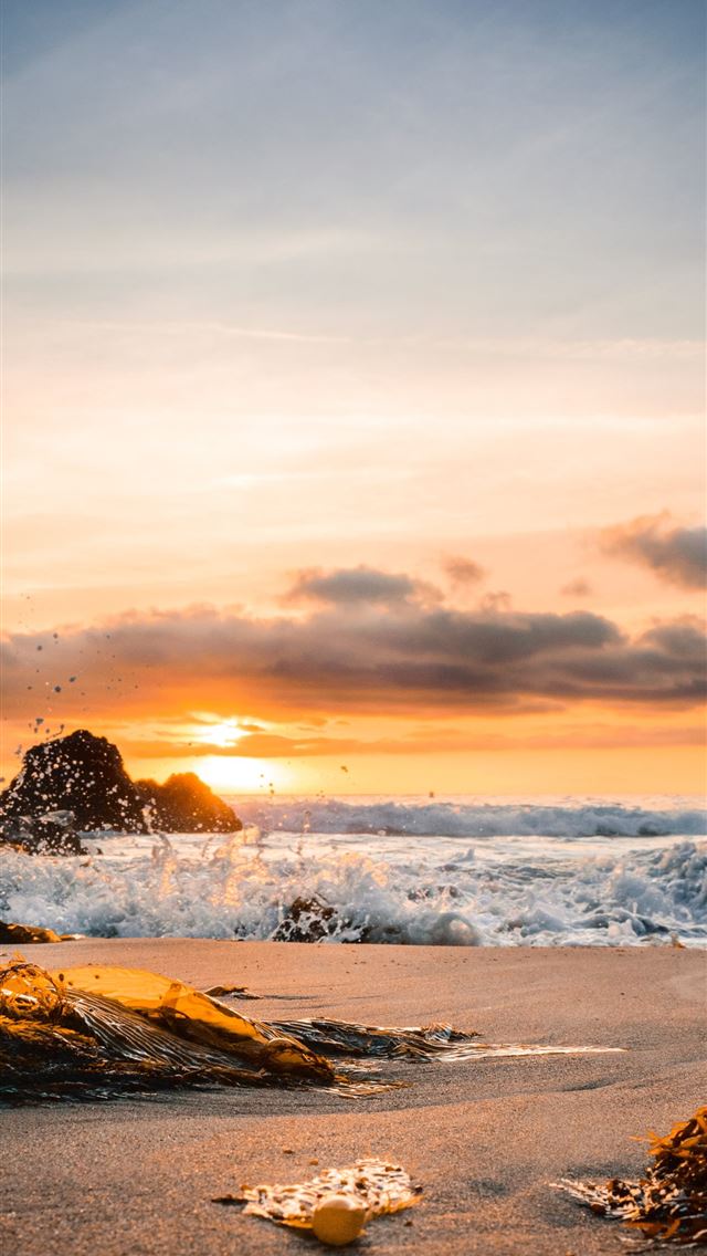 1290x2796 ocean smashed to sand during golden hour - beach iPhone Wallpaper