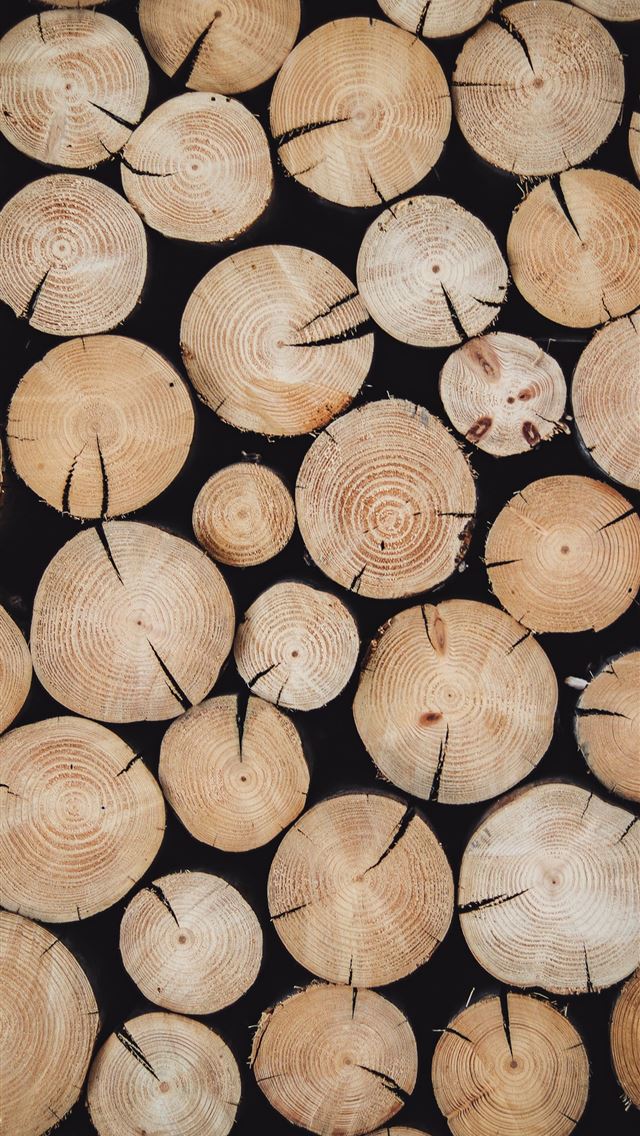 1290x2796 wood - wood iPhone Wallpaper