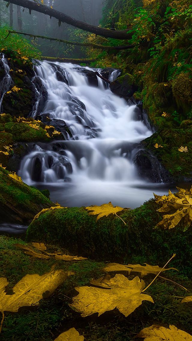 1290x2796 columbia river gorge -  iPhone Wallpaper